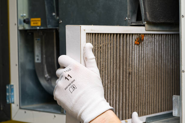 Best Emergency Air Duct Cleaning  in Chula Vista, CA