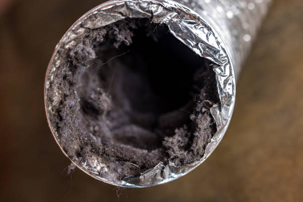 Best Best Air Duct Cleaning Company  in Chula Vista, CA